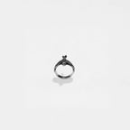 Silver pigeon ring on a white background