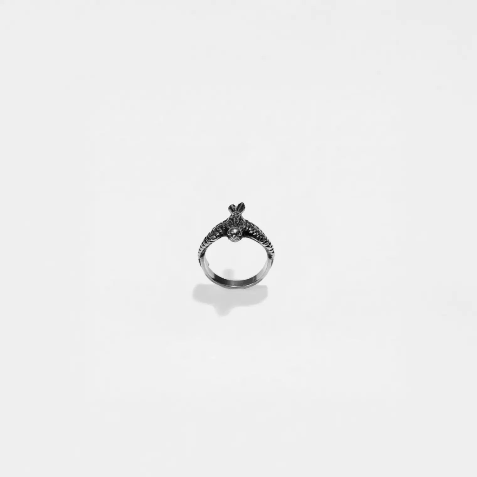 Silver pigeon ring on a white background