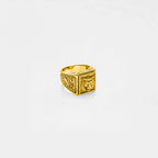 Gold lion head signet ring on a white background