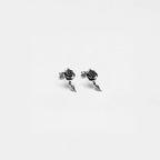 Pair of silver riose earrings on a white background