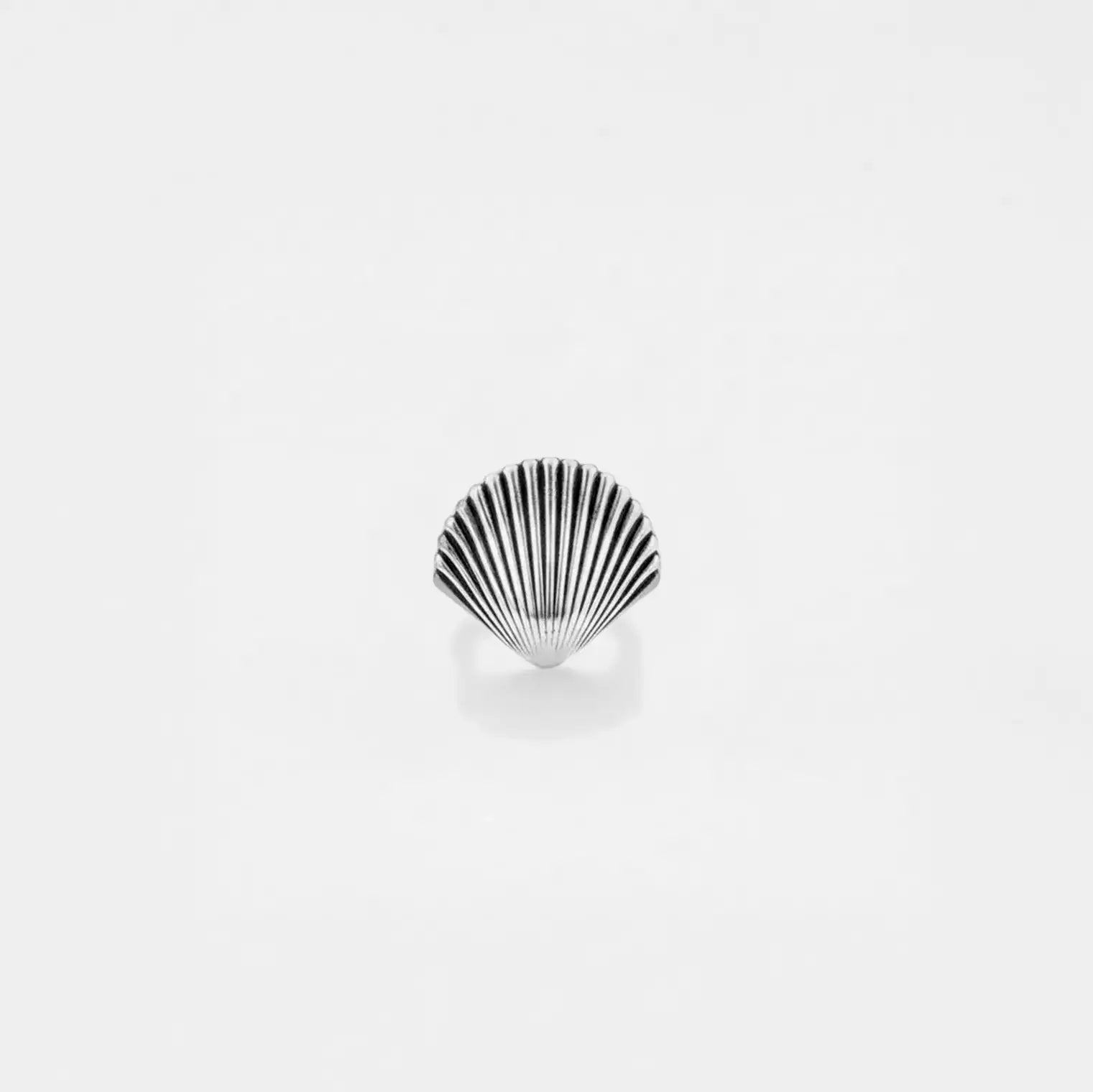Silver ring with a sea-shell design on a white background