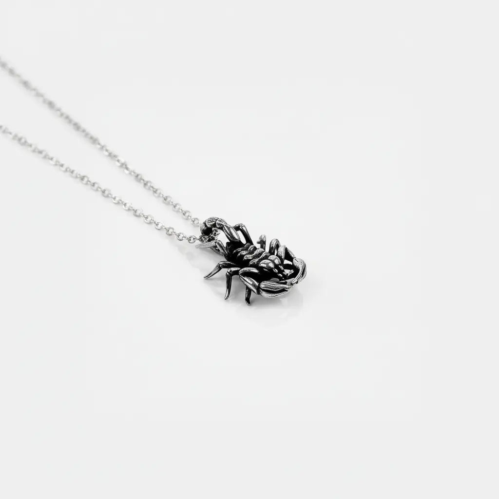 Silver scorpion pendant on a chain against a white background