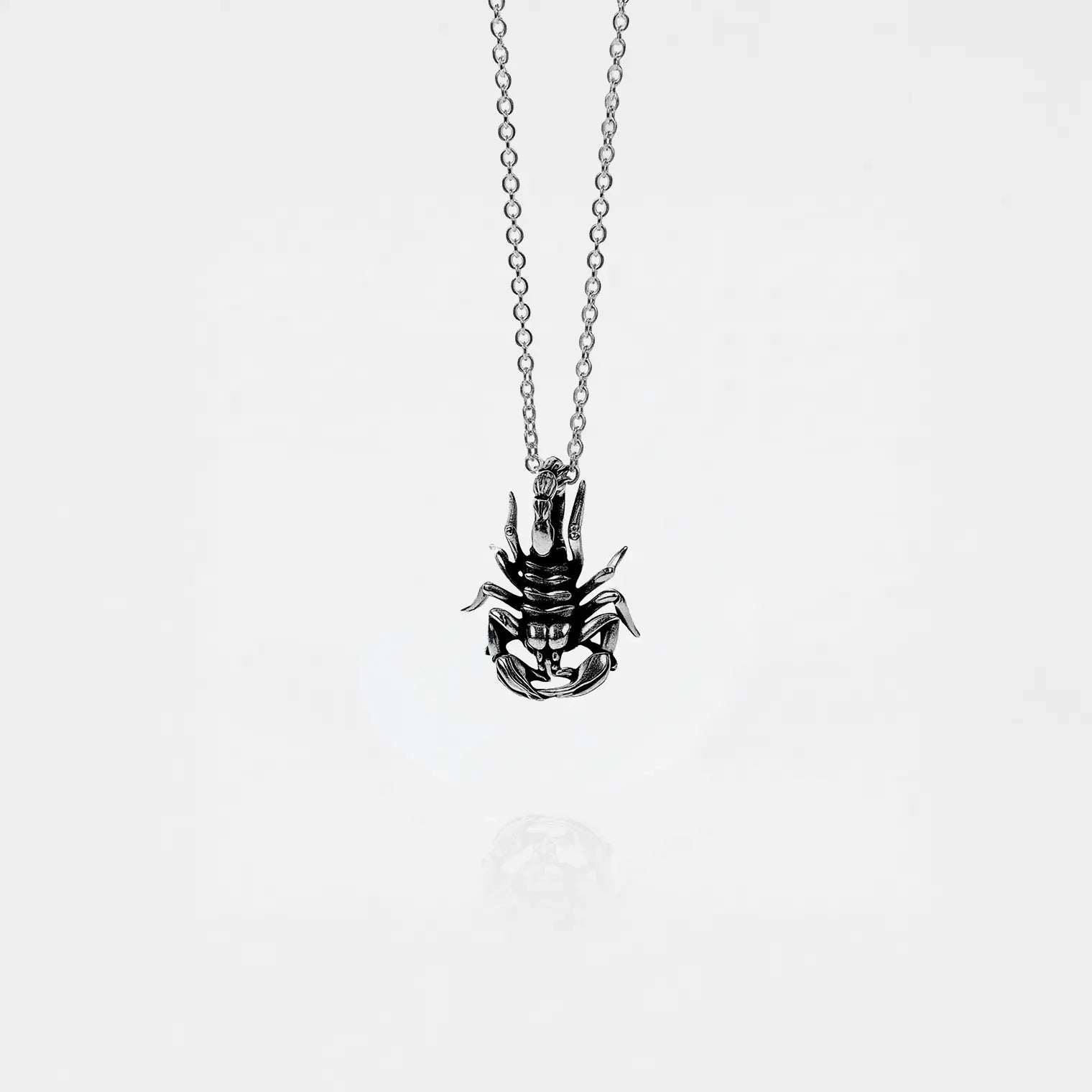 Silver scorpion pendant necklace on a thin chain against a white background