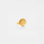 Gold shell-shaped ring on a white background