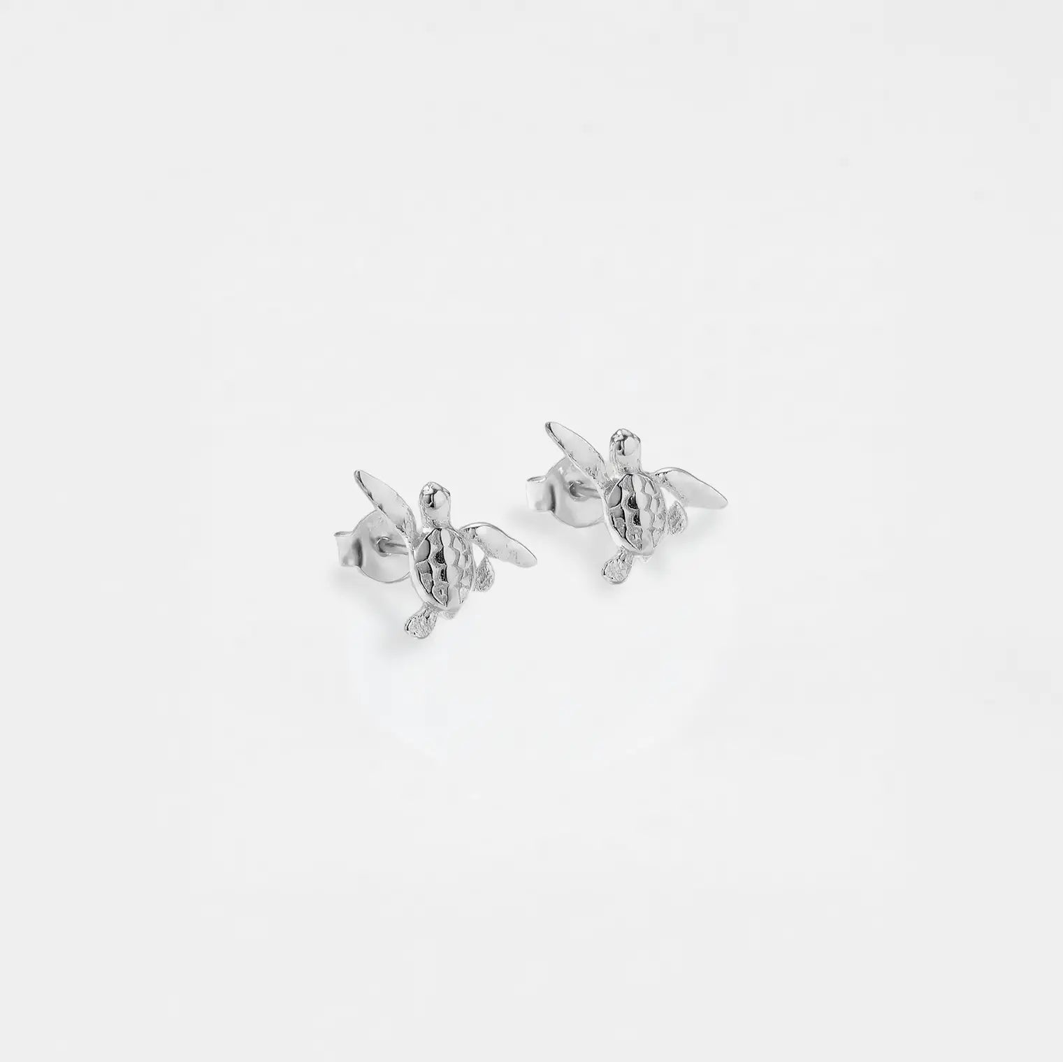 silver turtle earrings on a white background