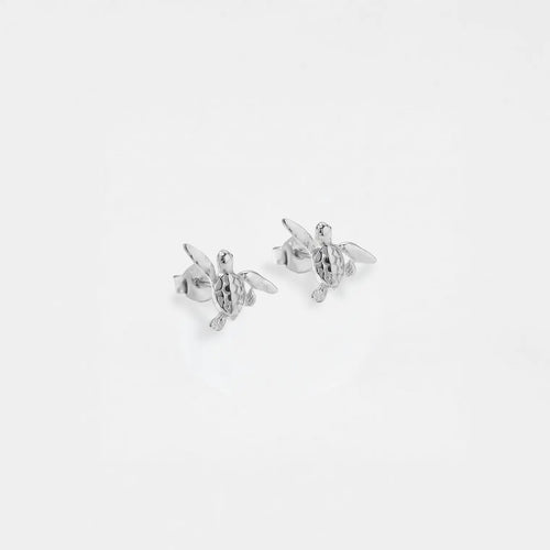 silver turtle earrings on a white background