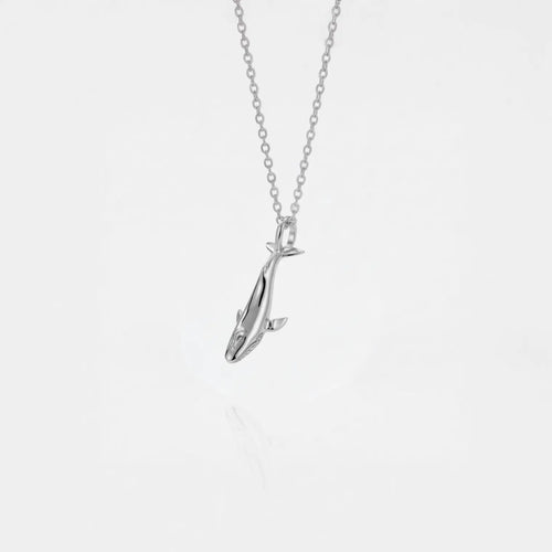 Blue-whale silver pendant on a white background