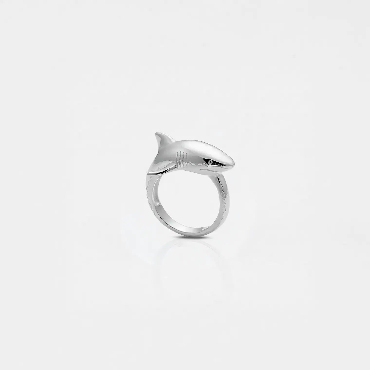 white-shark silver ring on a white background