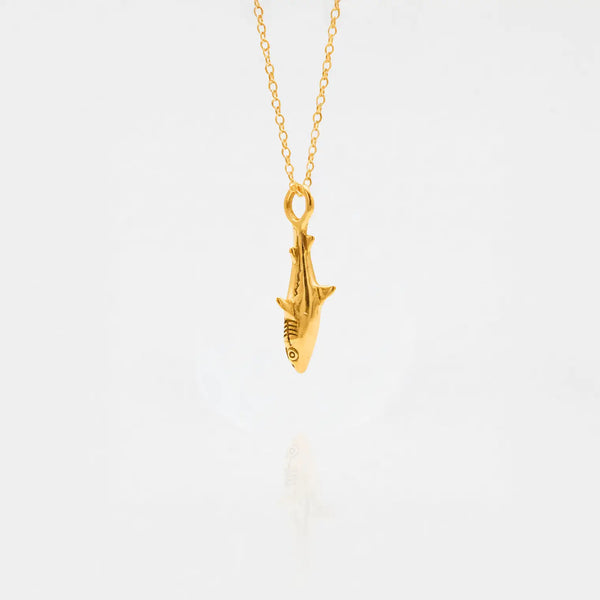 Collier requin blanc