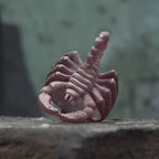 video of the elaboration for the scorpion ring