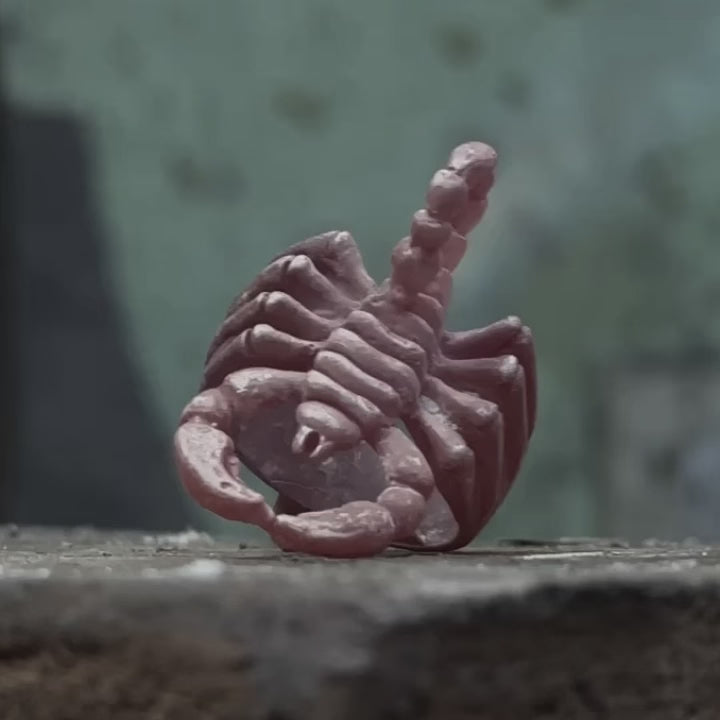 video of the elaboration for the scorpion ring